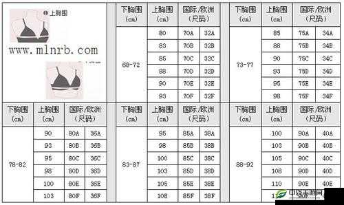 亚洲无人区码一码二码三码区别：深度解析其差异